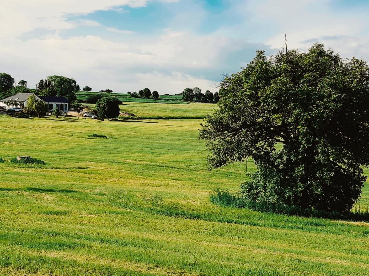 Babyky apartmány Jindřichŭv Hradec Exterior foto